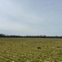 141 - Row Crop Acres 2 Wells with underground and risers Craighead County Jonesboro Arkansas images 4