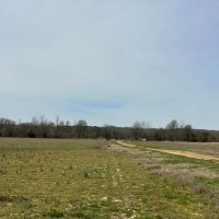 141 - Row Crop Acres 2 Wells with underground and risers Craighead County Jonesboro Arkansas images 5