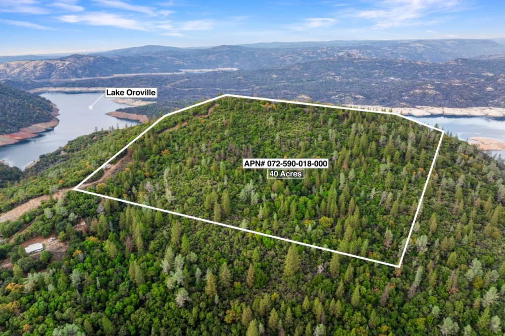 40 Acres Overlooking Lake Oroville - Private featured image