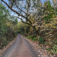 40 Acres Overlooking Lake Oroville - Private images 3