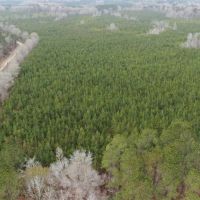 CAN04 images 3