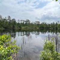 37 Acres FM 2937 C-2 Silsbee Stake images 2
