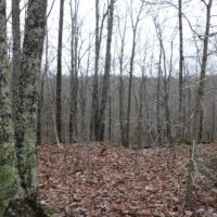 5.05 AC W MTN VIEWS IN A PRIVATE SECLUDED COUNTRY LOCATION