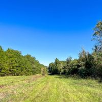 290 Acres County Road 1090 T-3 images 2
