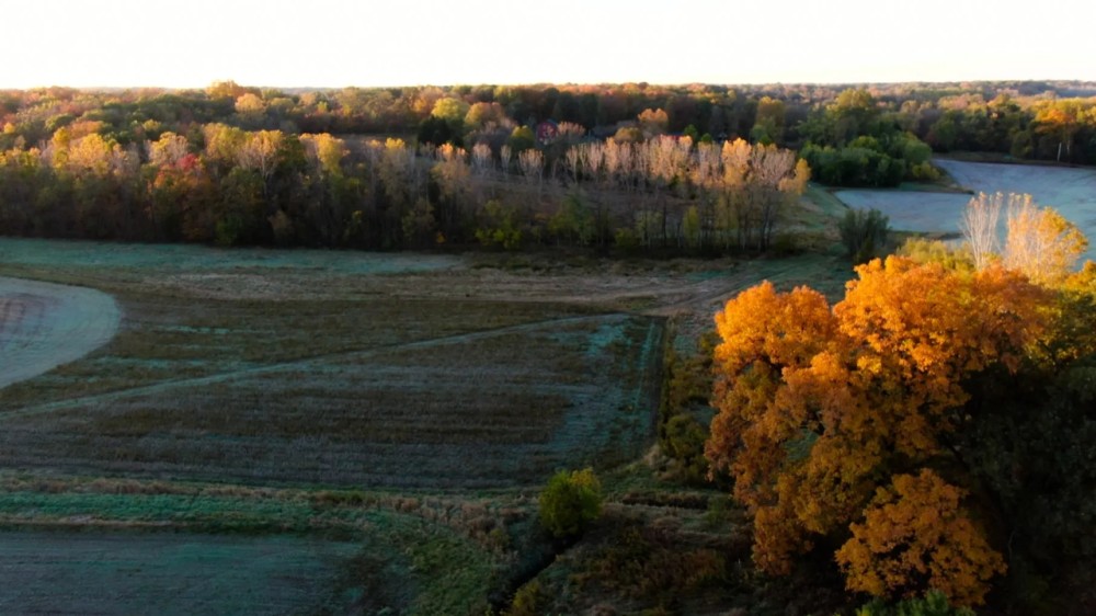 Cumberland County Illinois 149.5 Acres of Land For Sale PRICE REDUCED featured image