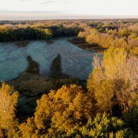 Cumberland County Illinois 149.5 Acres of Land For Sale PRICE REDUCED images 4