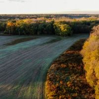 Cumberland County Illinois 149.5 Acres of Land For Sale PRICE REDUCED images 5