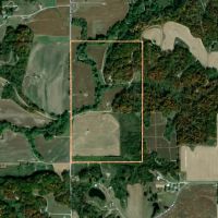 Fayette County IL 70 Acres PRICE REDUCED images 2