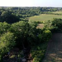 Fayette County IL 70 Acres PRICE REDUCED images 4
