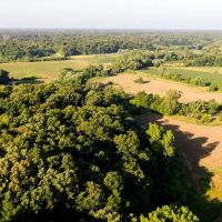 Fayette County IL 70 Acres PRICE REDUCED images 5