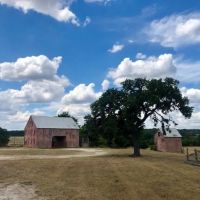 Land for sale in Walnut Springs with hunting cabin images 2
