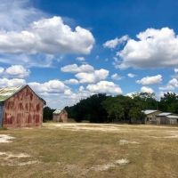 Land for sale in Walnut Springs with hunting cabin images 3