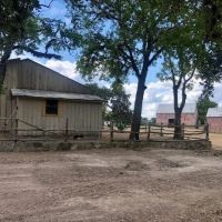 Land for sale in Walnut Springs with hunting cabin images 5