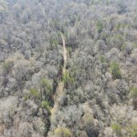 64 Acres in Pearl in Rankin County MS images 4