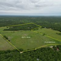 538 Murphree Road Saint Jo TX 45.470 Acres