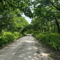 538 Murphree Road Saint Jo TX 45.470 Acres images 2