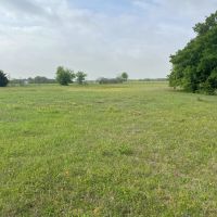 538 Murphree Road Saint Jo TX 45.470 Acres images 3