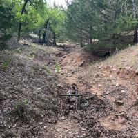 538 Murphree Road Saint Jo TX 45.470 Acres images 4