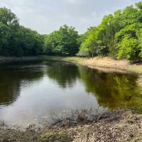538 Murphree Road Saint Jo TX 45.470 Acres images 5
