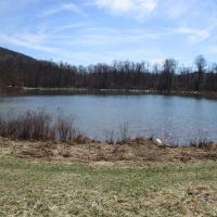 Linwood Acres images 2