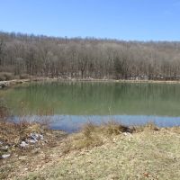 Linwood Acres images 3