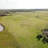 311.12 ACRES NACOGDOCHES COUNTY TEXAS images 2