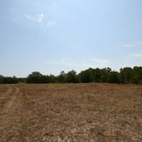 1345 Davis Rd Tr 1 images 2