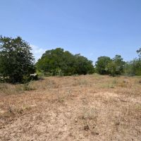 1345 Davis Rd Tr 1 images 4