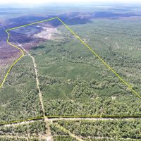 466 Acres FM 247 T-8