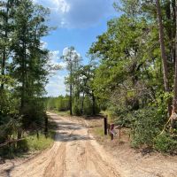 466 Acres FM 247 T-8 images 5