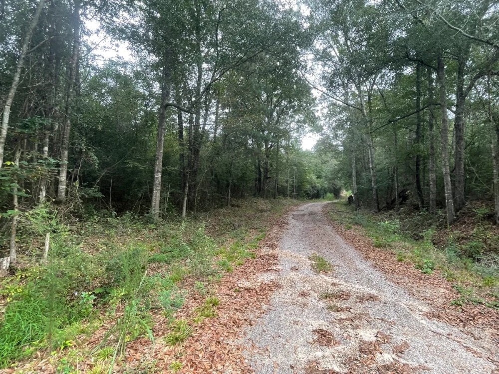 McNair Lane featured image