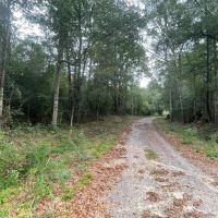 McNair Lane