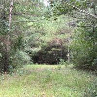 McNair Lane images 3