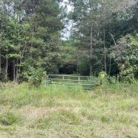 McNair Lane images 4