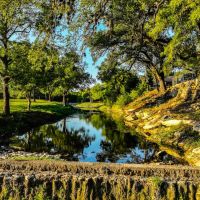 14440 Nutty Brown RD images 4