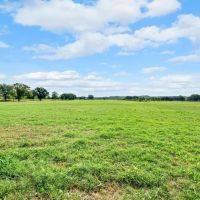 150 COUNTY ROAD 442 De Leon Texas 76444 images 4