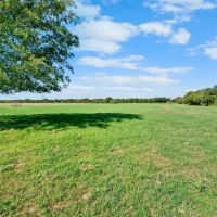 150 COUNTY ROAD 442 De Leon Texas 76444 images 5