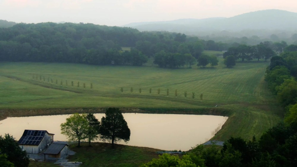 Wilson County Tennessee 193 Acres With Cabin For Sale featured image