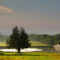 Wilson County Tennessee 193 Acres With Cabin For Sale images 5