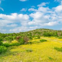 Soldier s Gap Ranch images 4