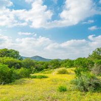 Soldier s Gap Ranch images 5