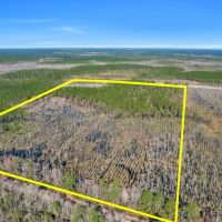 37.85 acres - Hwy 84 images 3