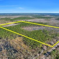 37.85 acres - Hwy 84 images 5