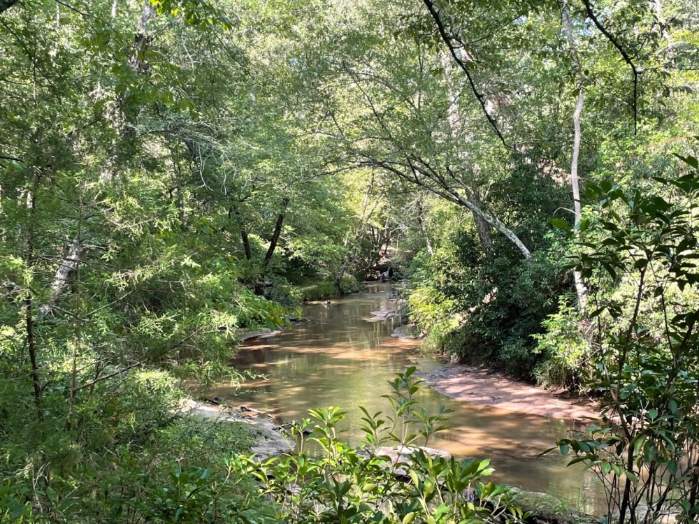 - 26.8 Acres - Mountain Creek Road Honea Path SC 29654 featured image