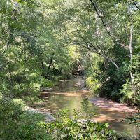 - 26.8 Acres - Mountain Creek Road Honea Path SC 29654
