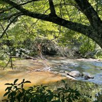 - 26.8 Acres - Mountain Creek Road Honea Path SC 29654 images 2