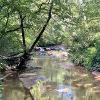 - 26.8 Acres - Mountain Creek Road Honea Path SC 29654 images 3
