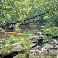 - 26.8 Acres - Mountain Creek Road Honea Path SC 29654 images 4