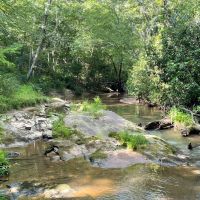 - 26.8 Acres - Mountain Creek Road Honea Path SC 29654 images 5
