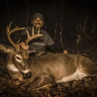 AR Chicot 63 acres - images 2